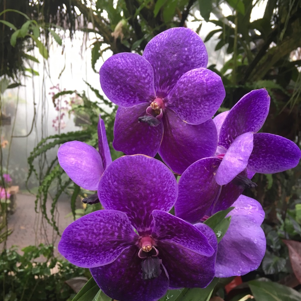 Meet your Posher, Lea